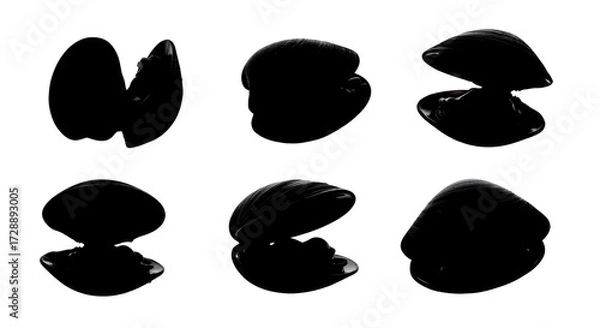 Fototapeta Silhouetted mussels isolated on white background showing different views and positions