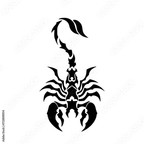 Obraz scorpion vector illustration