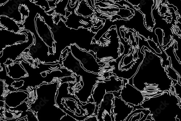 Obraz black and white background