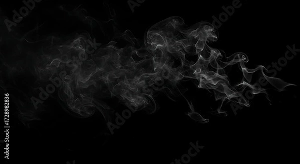 Obraz Abstract white smoke on black background artistic visual effect