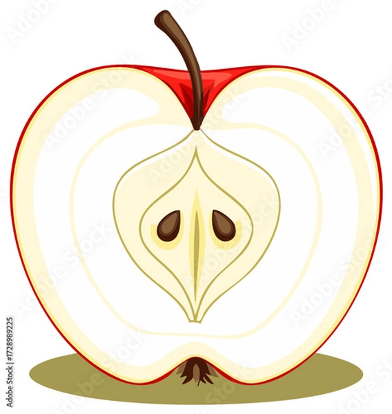 Fototapeta Red apple cut in half showing the core and seeds a healthy and fresh fruit illustration perfect for diet concepts