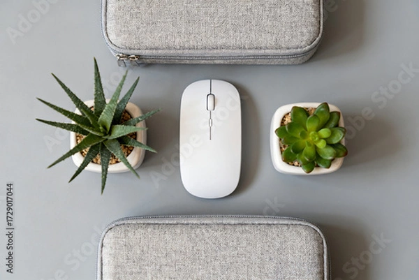 Fototapeta Minimalist workspace setup with wireless mouse, succulent plants, and fabric cases on a gray surface