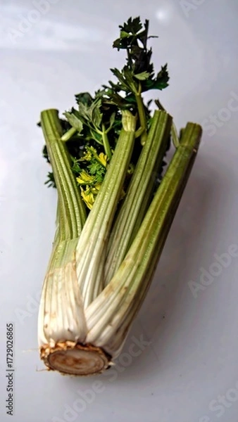 Fototapeta Celery stalk on white background