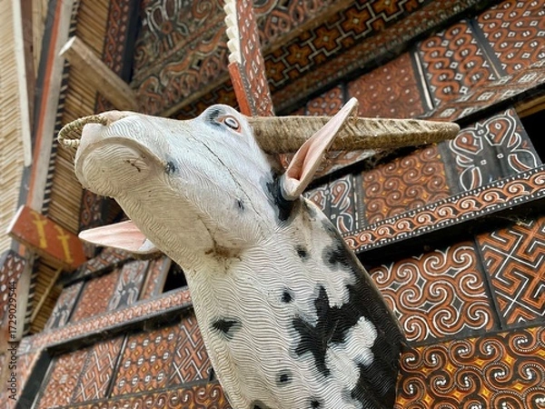 Fototapeta Buffalo head statue in front of the Tongkonan traditional house, Tana toraja, Indonesia.