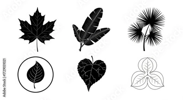Fototapeta Collection of six distinct leaf illustrations in black and white showcasing diverse botanical shapes