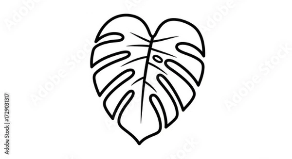Fototapeta Outline drawing of a monstera leaf with distinct fenestrations and a heart shaped overall form design