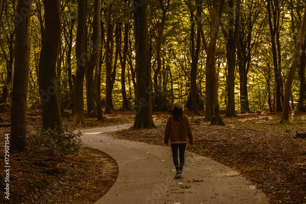 Fototapeta A solitary figure strolls along a winding path in Speulderbos, Veluwe, surrounded by majestic trees adorned in autumn hues. The sun filters through the leaves, creating a peaceful ambiance.