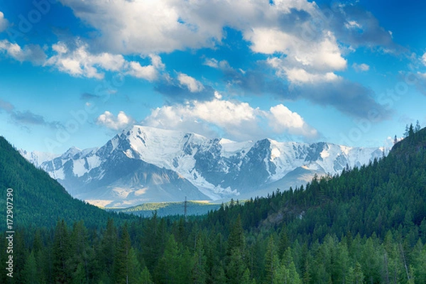 Fototapeta amazing view  of fir forest stretching to foot of great snow-covered mountains at sunny day
