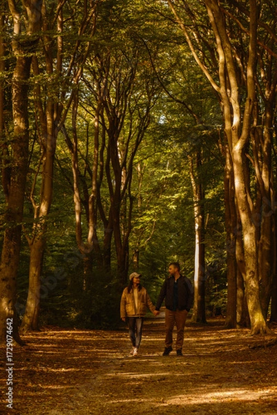 Fototapeta Couple walks hand in hand along a serene path through the golden foliage of Speulderbos forest. Autumns charm fills the air with vibrant colors and gentle sunlight filtering through the trees.
