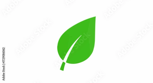 Fototapeta Illustration of a single bright green leaf with a prominent white vein on a white background image