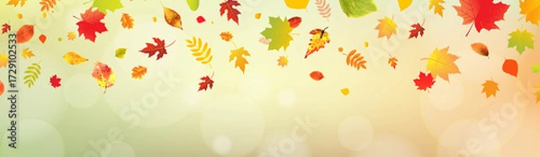 Fototapeta Autumn Colorful Leaves With Bokeh Background