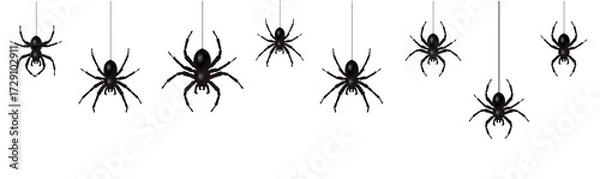 Fototapeta Spider Border With Isolation White Background