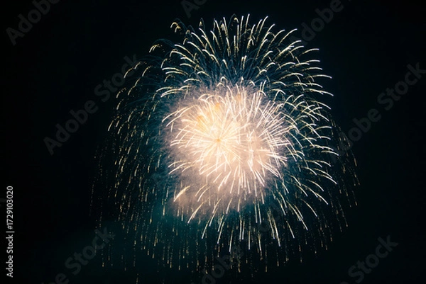 Fototapeta A massive cloud of firework sparks fills the night sky, with countless bright particles spreading outward, creating a dynamic and spectacular visual effect against the dark backdrop.