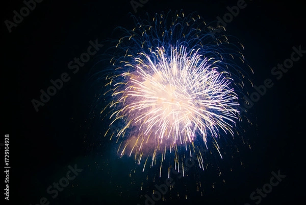 Fototapeta A massive cloud of firework sparks fills the night sky, with countless bright particles spreading outward, creating a dynamic and spectacular visual effect against the dark backdrop.