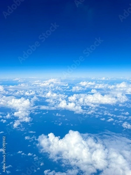 Obraz View from Airplane