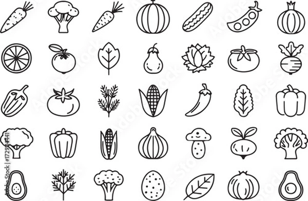Fototapeta Collection of Fresh Vegetables in Outline Style