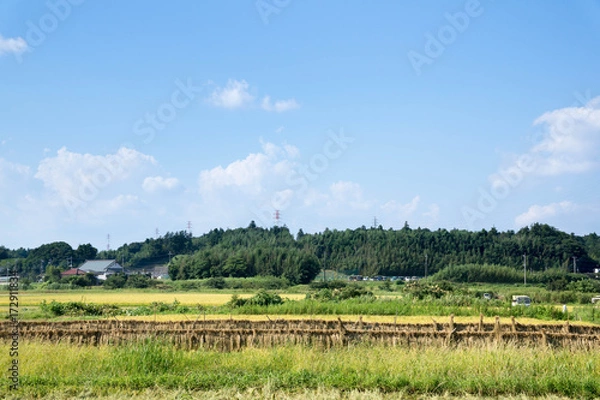 Fototapeta はざ掛け