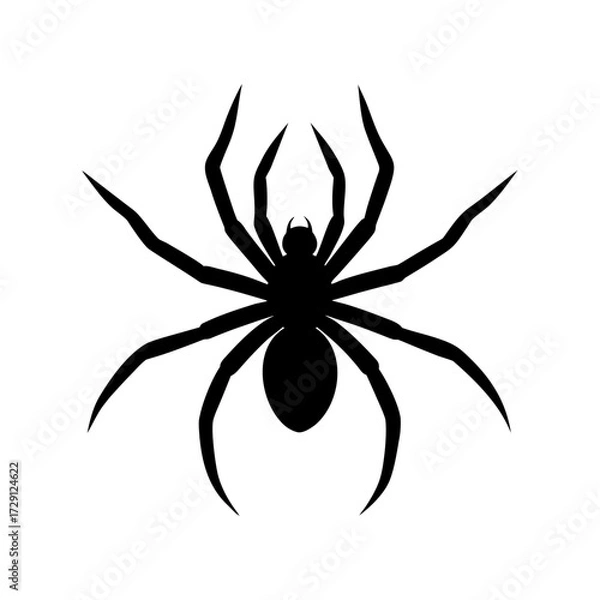 Fototapeta Vector silhouettes of a spider