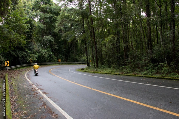Fototapeta Asphalt road through the deep forest. Close up, Nature background.