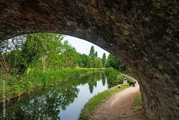 Obraz bridge over the river