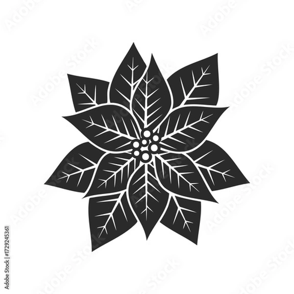Obraz Black and white poinsettia silhouette with intricate leaf design