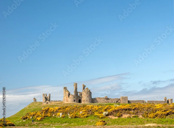 Obraz Dunstanburgh castle in England (3)
