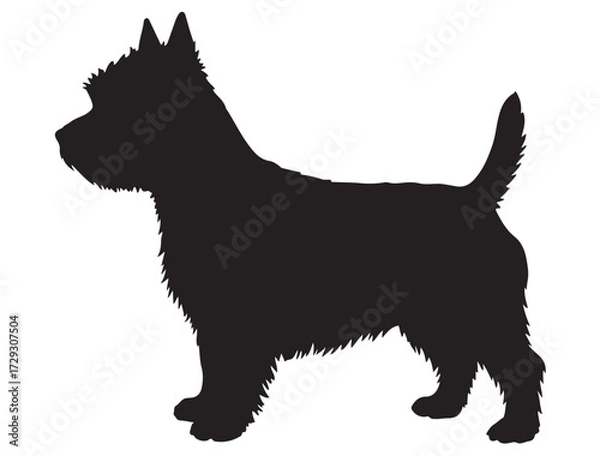 Obraz WEST HIGHLAND DOG SILHOUETTE