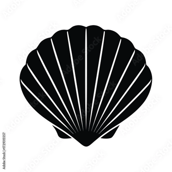 Obraz Sailor element isolated seashell on white background