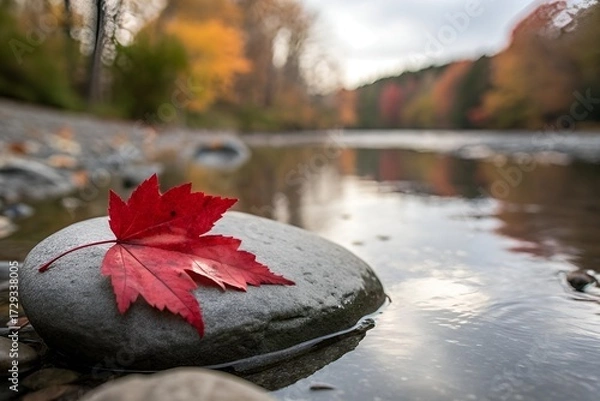 Fototapeta Red Maple Leaf on Stone in Tranquil Autumn River Scene