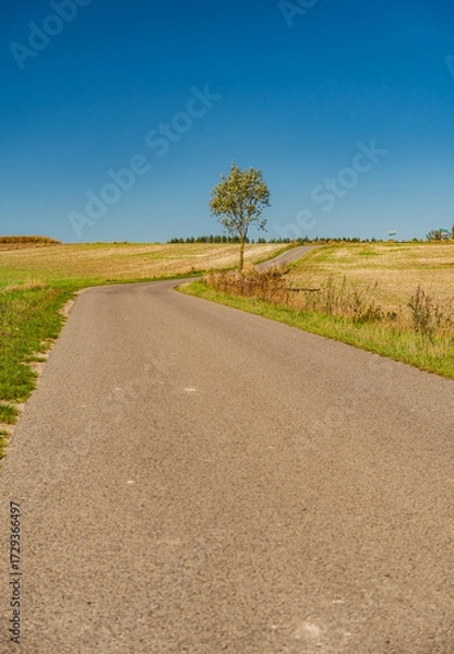 Fototapeta A rarely used asphalt road between fields
