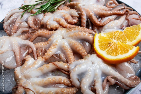 Obraz Fresh baby octopuses on ice, garnished with lemon and rosemary, on a marble table, no people,