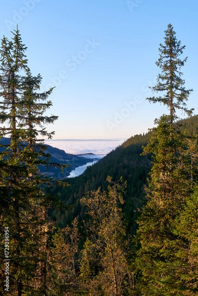 Fototapeta View of the Skjeppsjøen Lake from the Svartdalstjerna Primeval Forest Nature Reserve of the Totenåsen Hills, Norway, in September 2025.