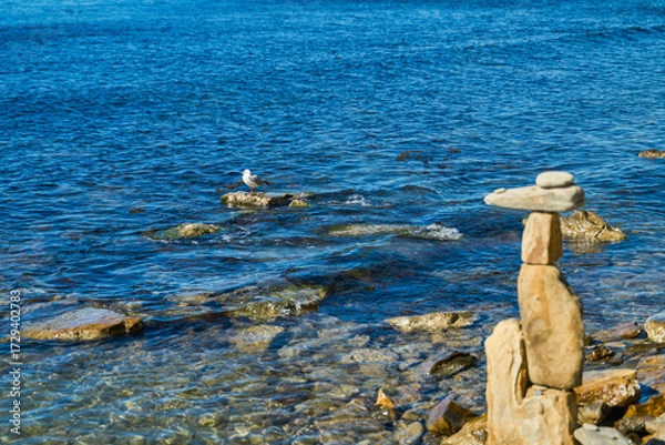 Fototapeta A seagull rests on rocks near the coastline, a funny stone figure on the beach, a bright sunny day poster about ecosystems and a background for the interior about nature and the sea