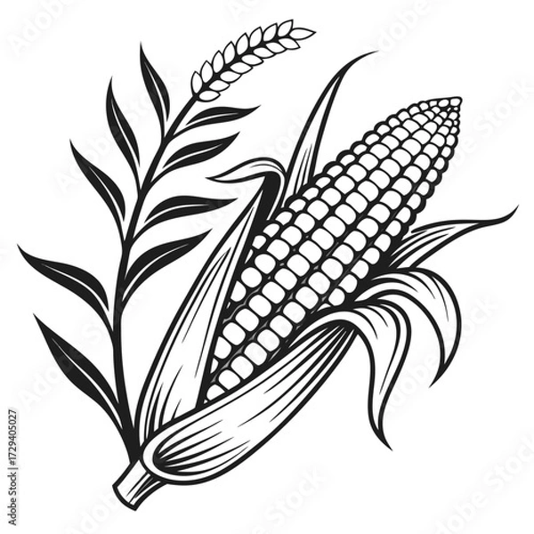 Fototapeta Corn and wheat stalk maize kernels