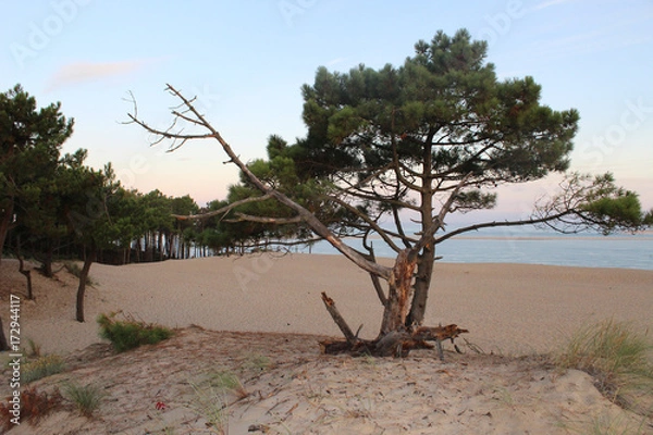 Obraz plage sable dune mer ocean