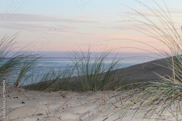 Fototapeta plage sable dune mer ocean