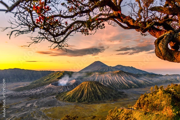 Fototapeta Bromo volcano during sunrise in Bromo Tengger Semeru National Park, East Java, Indonesia.