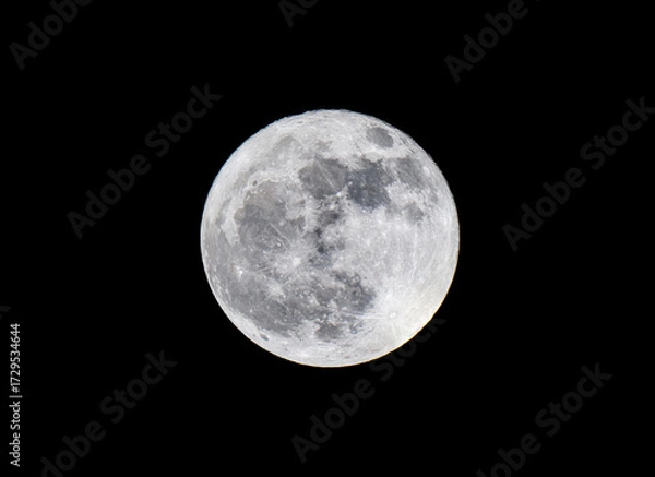 Obraz full moon in the night