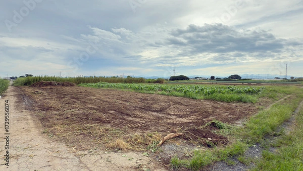 Fototapeta 放置農地の畑をユンボで整備