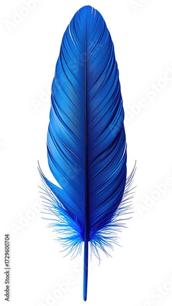 Fototapeta Vibrant deep blue feather, detailed vaned structure, intricate texture, against black backdrop