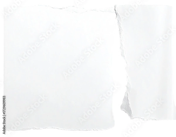 Fototapeta Two torn pieces of white paper