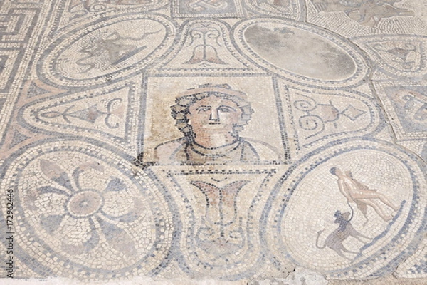 Fototapeta ヴォルビリス遺跡のモザイク画