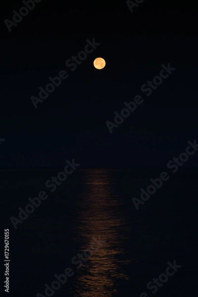 Obraz 満月と黒い背景