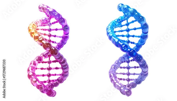 Fototapeta Molecular Pair – Two Distinct DNA Double Helix Styles Isolated on Transparent Background