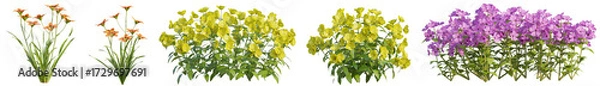Fototapeta Set of beautiful flora and flowers in garden with isolated on transparent background - PNG file, 3D rendering