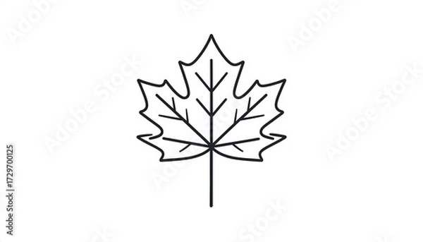 Fototapeta Simple black line drawing of a maple leaf