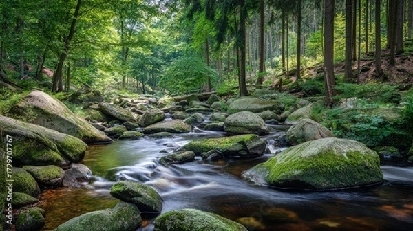 Fototapeta River flowing through dense forest with crystal clear water and moss covered rocks, ecological conservation and natural landscape concept.