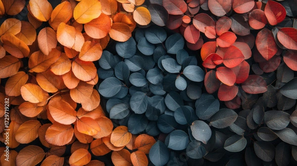 Obraz Autumn leaves pattern design