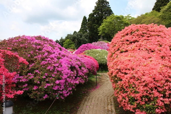 Obraz 箱根の芦ノ湖沿いにある山のホテルのつつじ庭園の風景