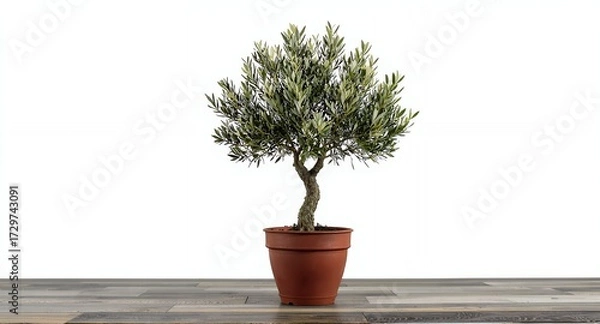 Fototapeta Small Potted Tree on Wooden Tabletop, Isolated on White Background